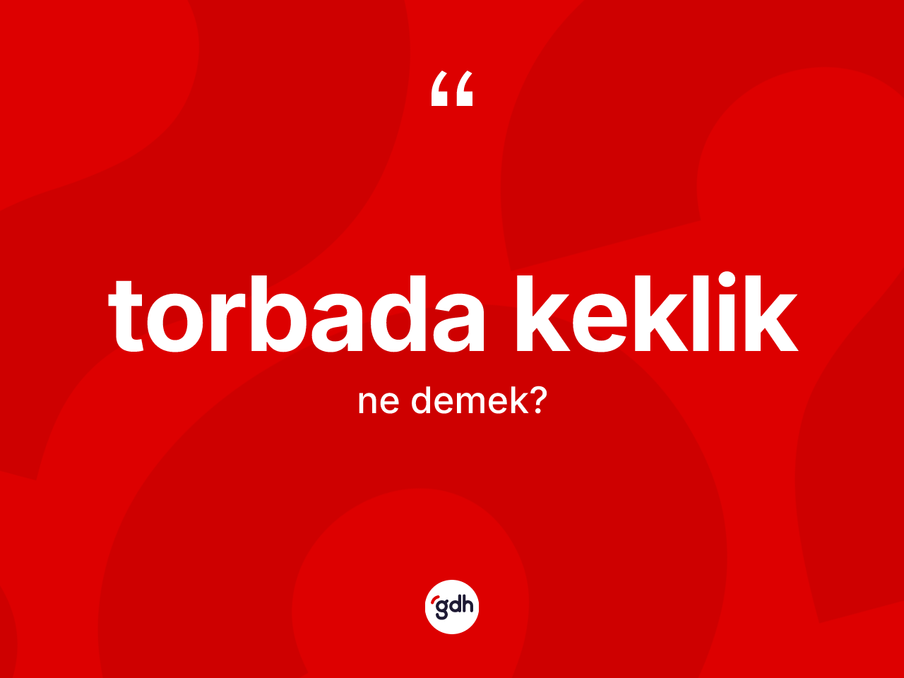 Torbada keklik kelimesinin anlamı nedir? Torbada keklik kelimesinin TDK'ya göre açıklaması nedir?