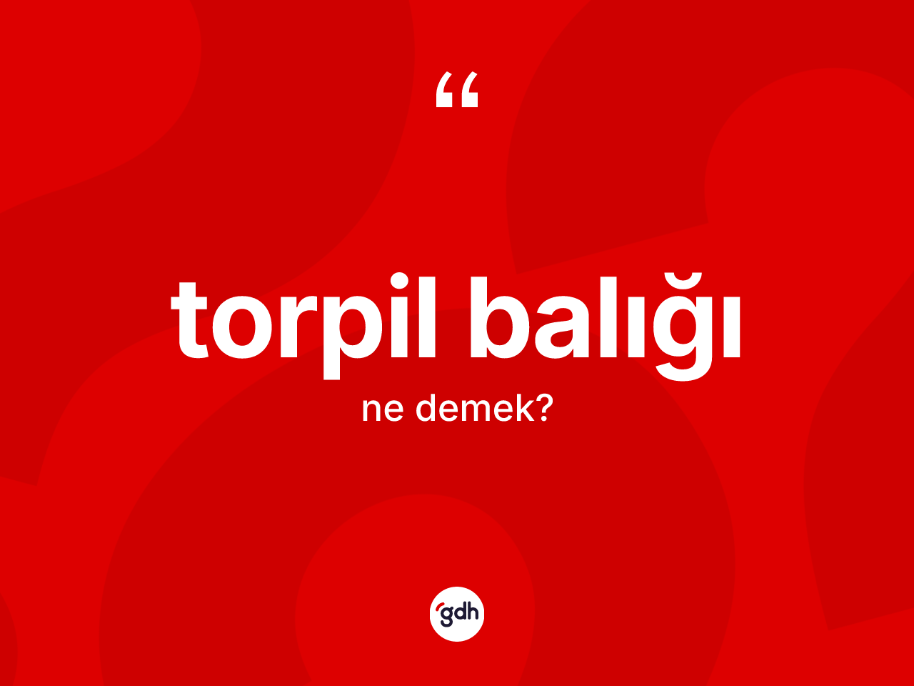 Torpil balığı ne demek? Torpil balığının kısaca tanımı nedir?