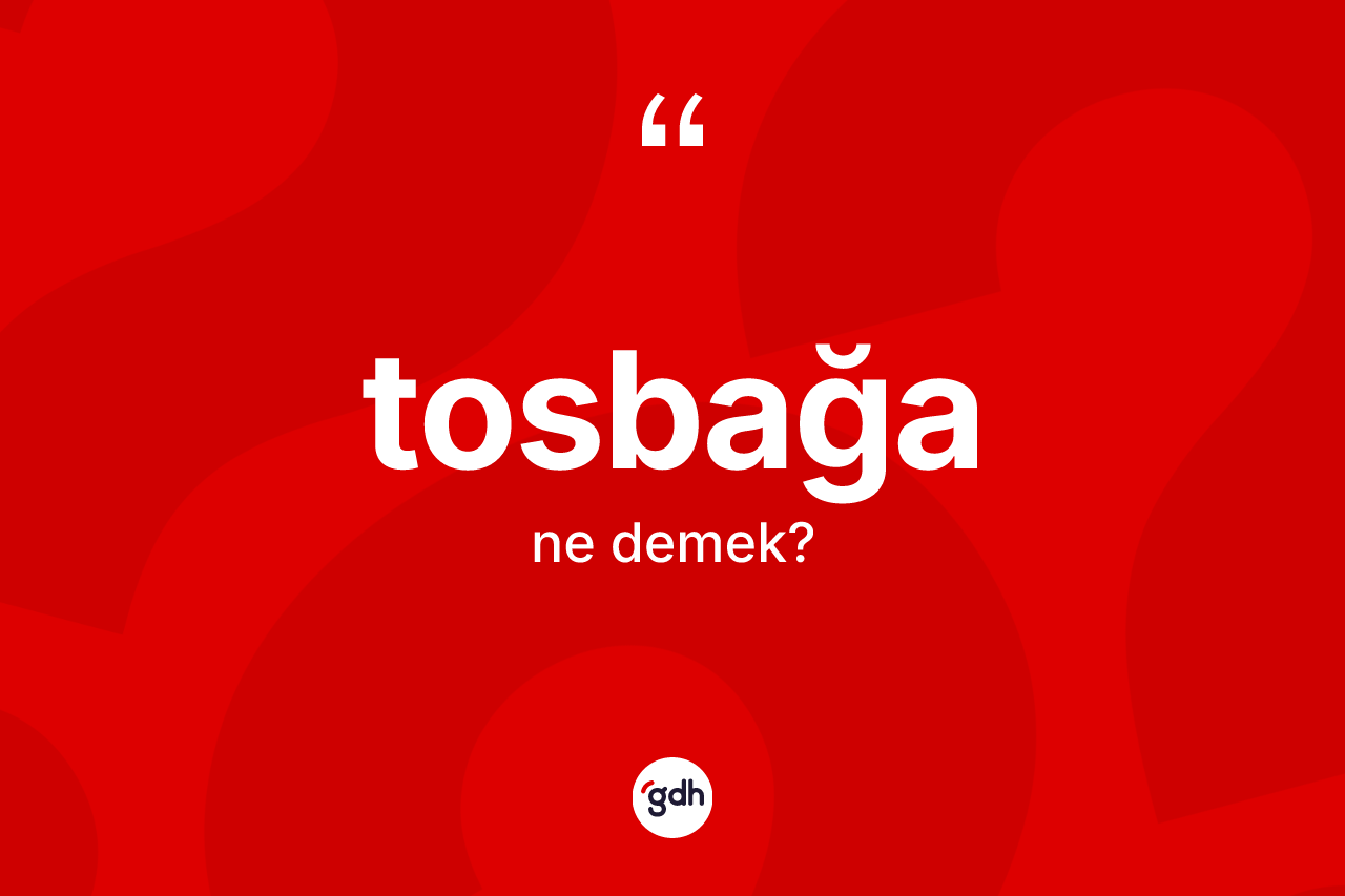 Tosbağa kelimesinin tanımı nedir? Tosbağanın halk arasındaki kullanımı nasıldır?
