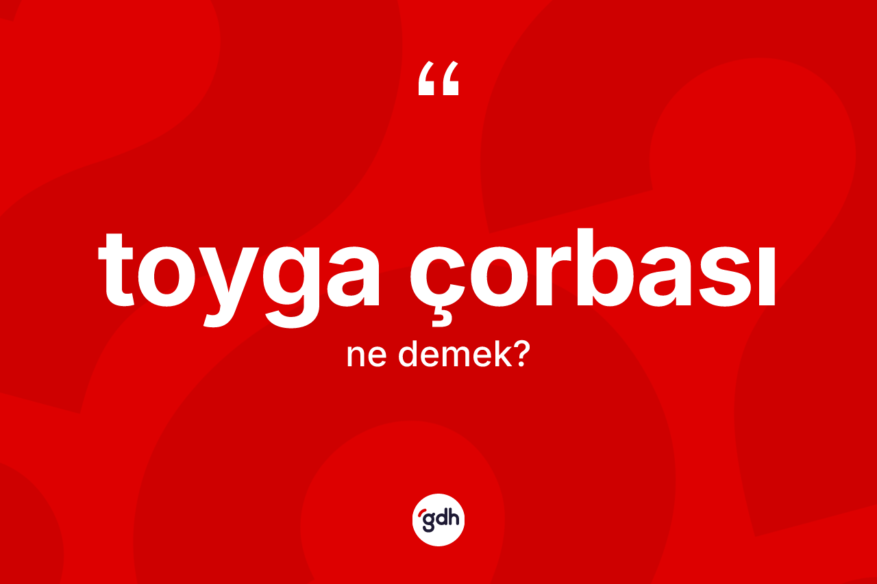 Toyga çorbası ne demek?