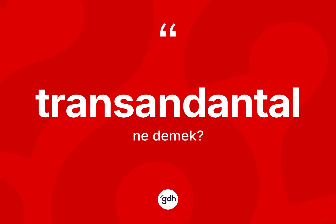 Transandantal kelimesinin anlamı nedir? Transandantalın TDK'ya göre anlamı nedir?