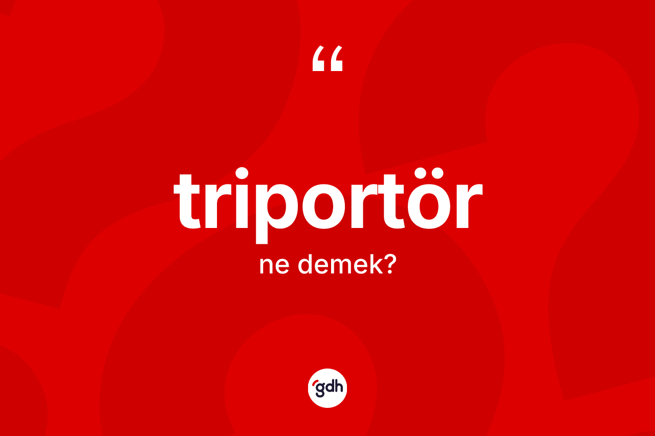 Triportör kelimesinin tanımı nedir? Triportörün kısaca tanımı nedir?