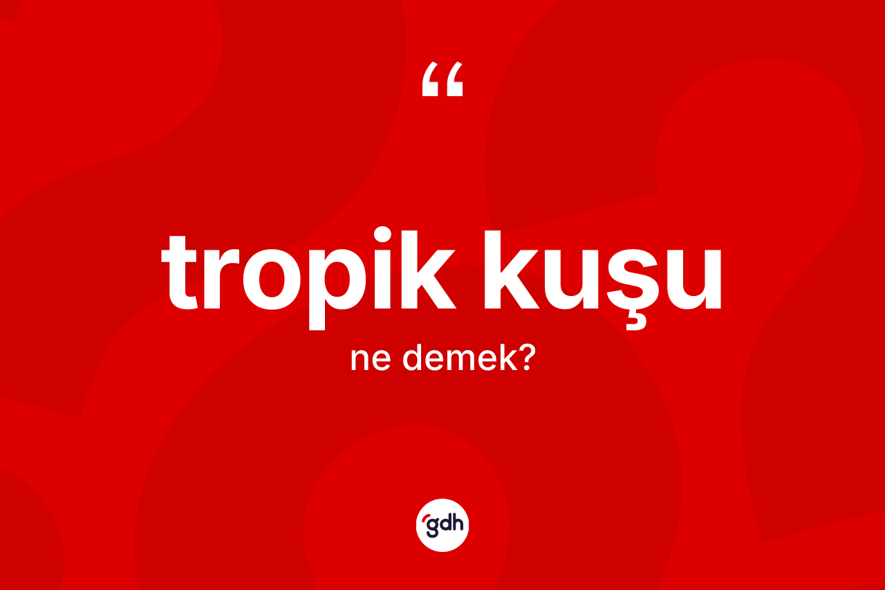 Tropik kuşu kelimesinin anlamı nedir? Tropik kuşu kelimesinin özellikleri nelerdir?