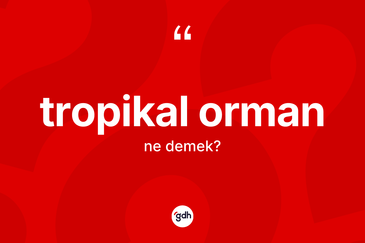Tropikal orman nedir?