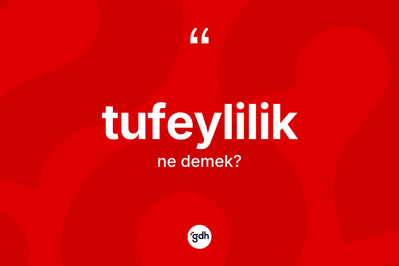 Tufeylilik kelimesi ne demek? Tufeyliliğin TDK'ya göre anlamı nedir?