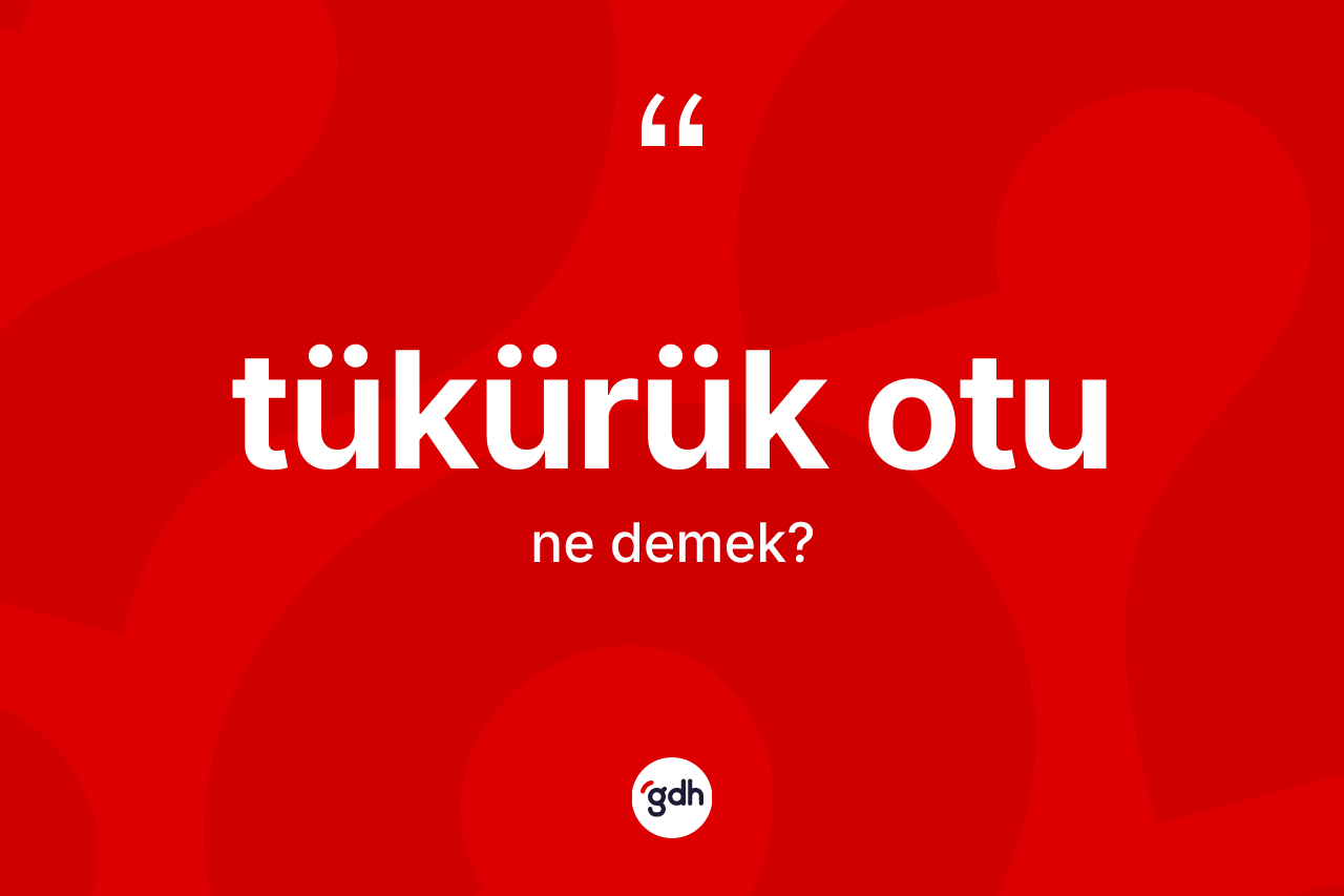 Tükürük otu kelimesinin sözlükteki tanımı nedir?