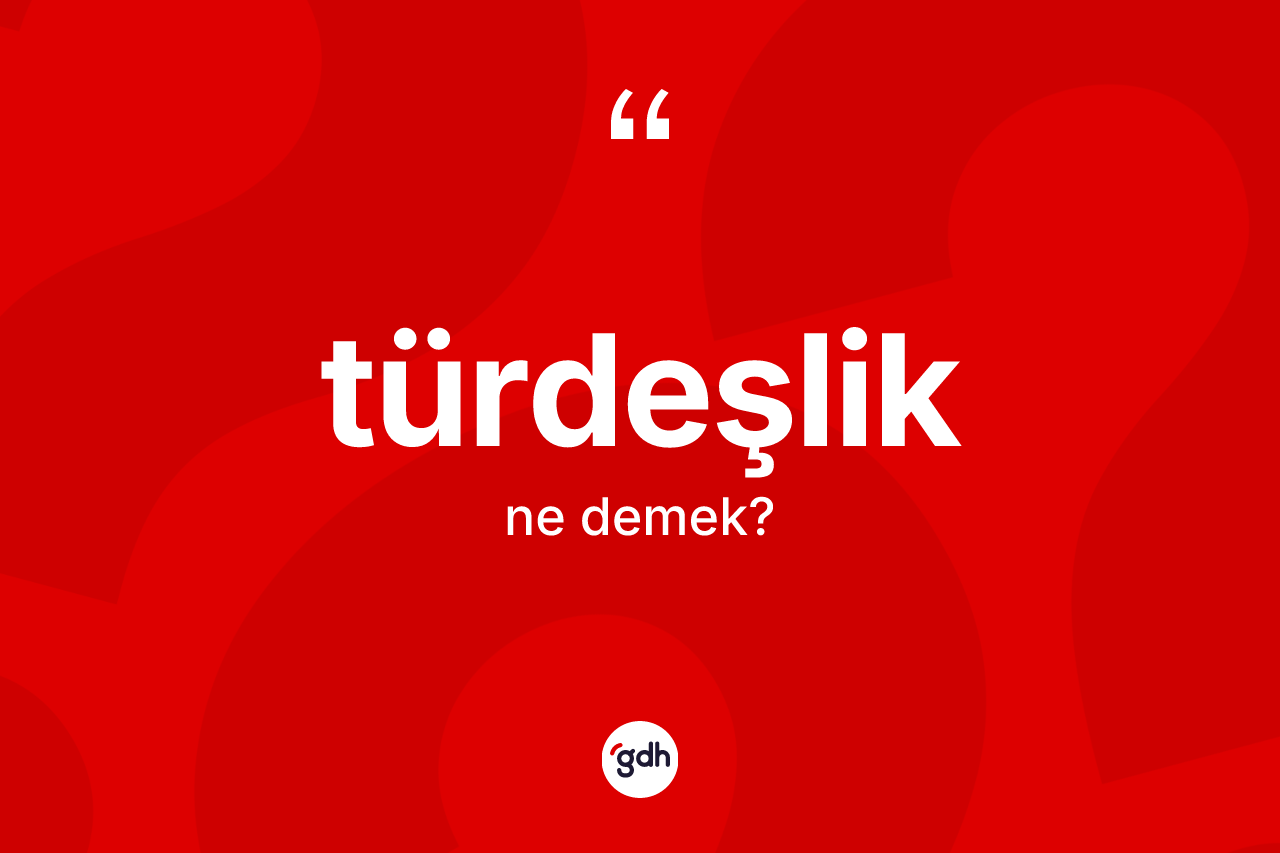 Türdeşlik kelimesinin tanımı nedir?