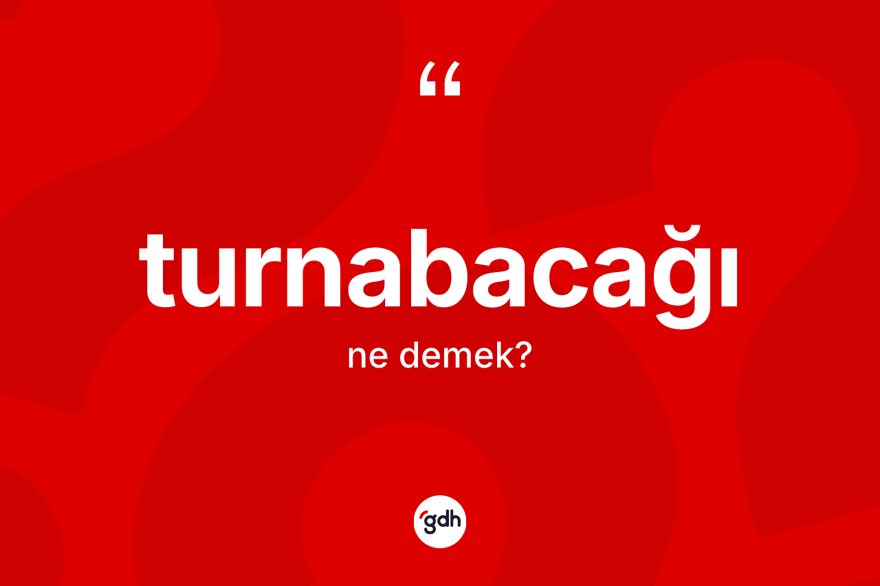 Turnabacağı kelimesinin tanımı nedir?