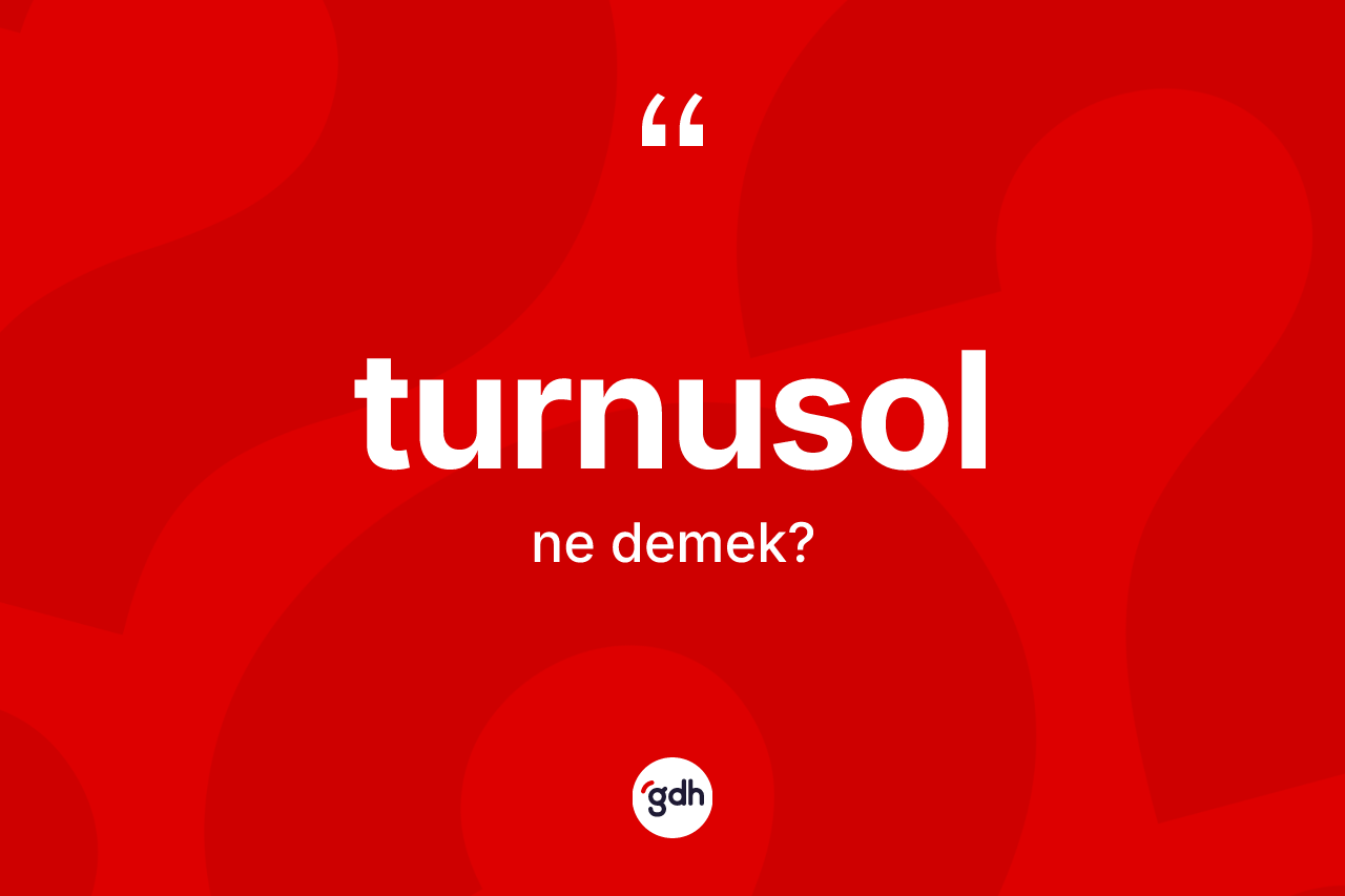 Turnusol kelimesinin tanımı nedir?