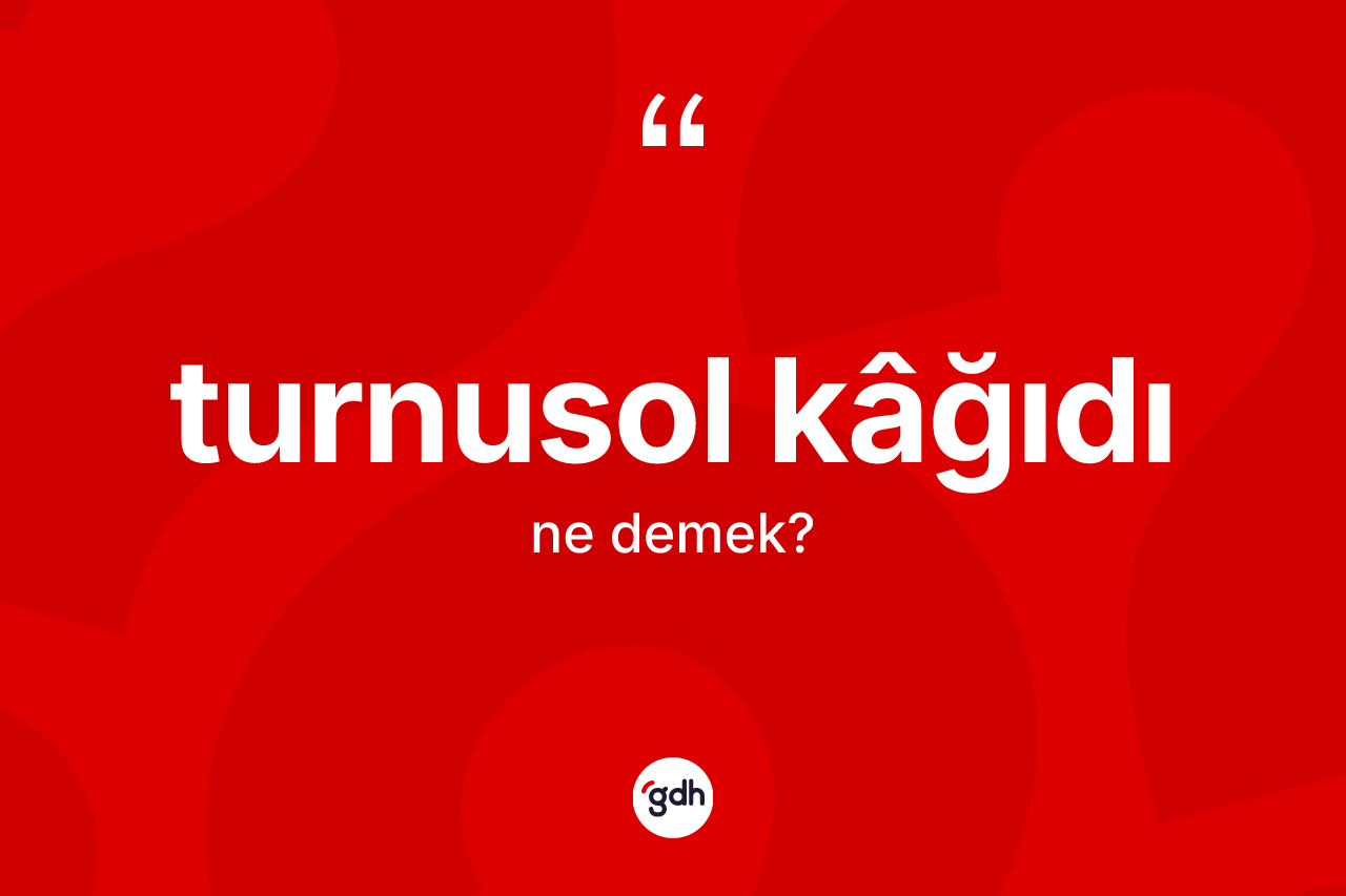 Turnusol kâğıdı kelimesi ne demek?