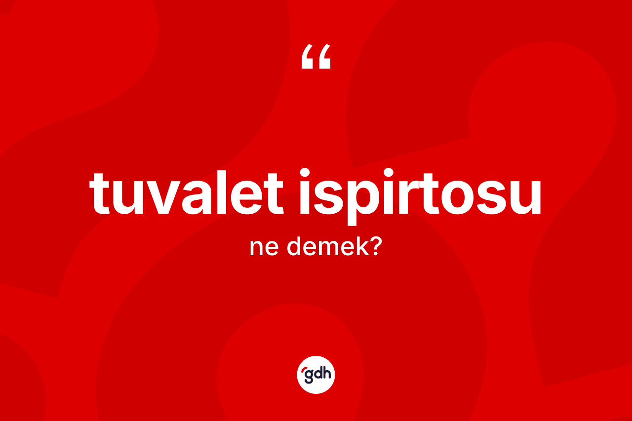 Tuvalet ispirtosu ne demek?