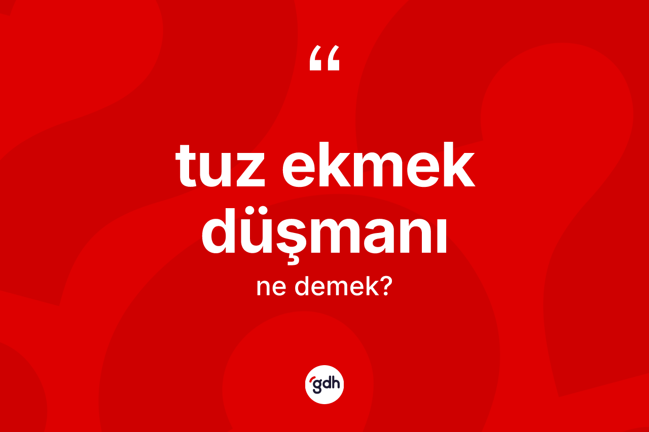 Tuz ekmek düşmanı kelimesinin tanımı nedir?