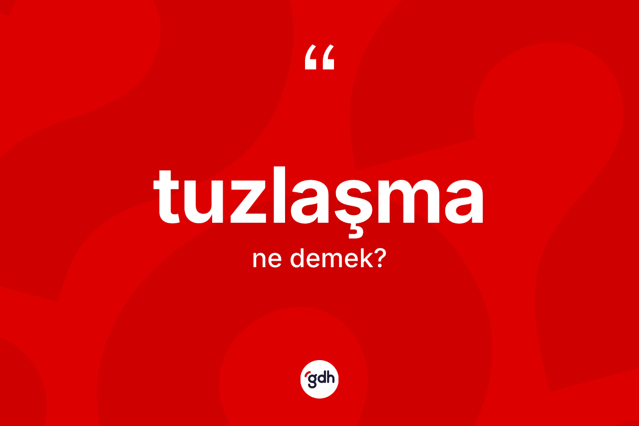 Tuzlaşma kelimesinin anlamı nedir?