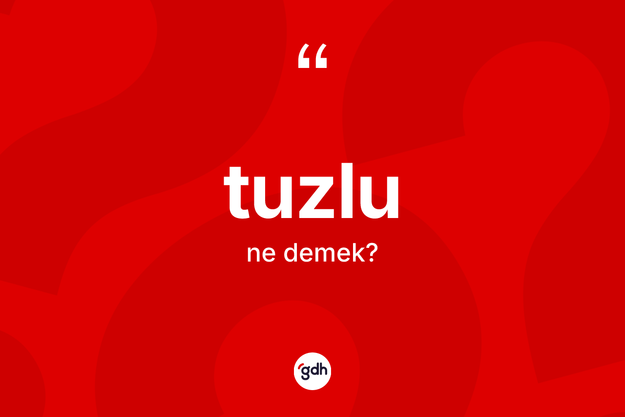 Tuzlu kelimesinin tanımı nedir?