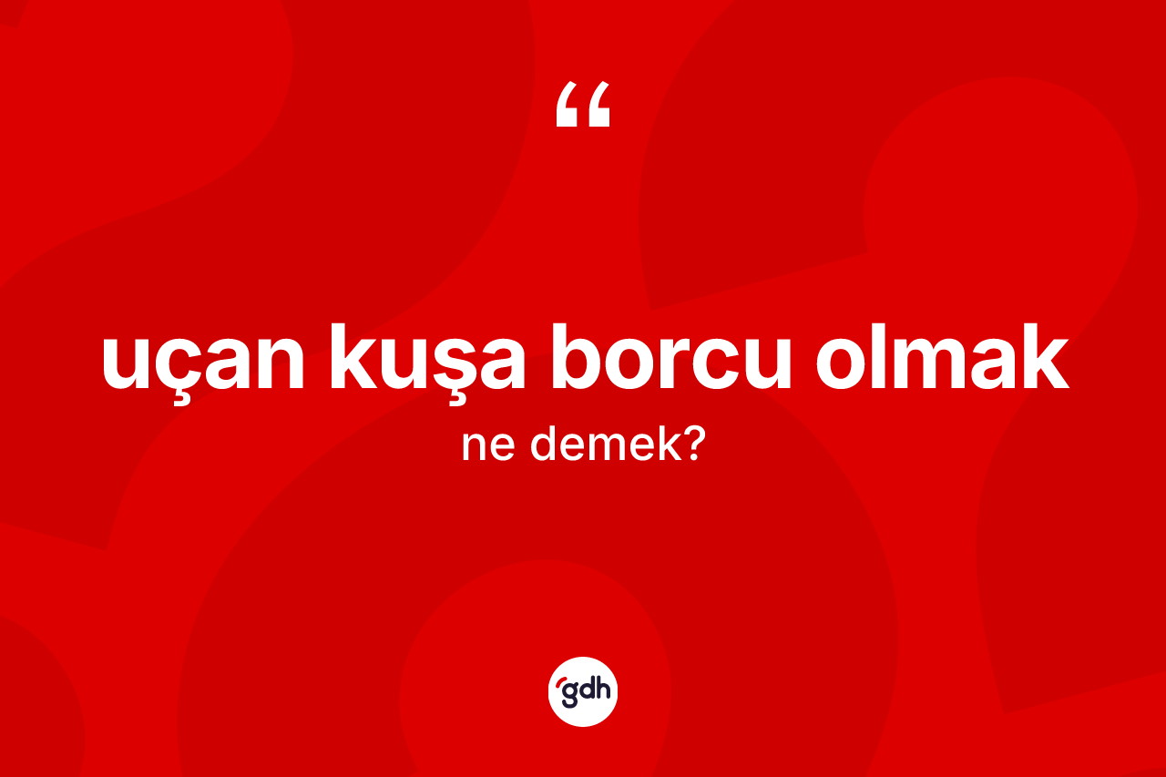 Uçan kuşa borcu olmak ifadesinin sözlükteki anlamı nedir? Uçan kuşa borcu olmak ifadesinin TDK açıklaması nedir?