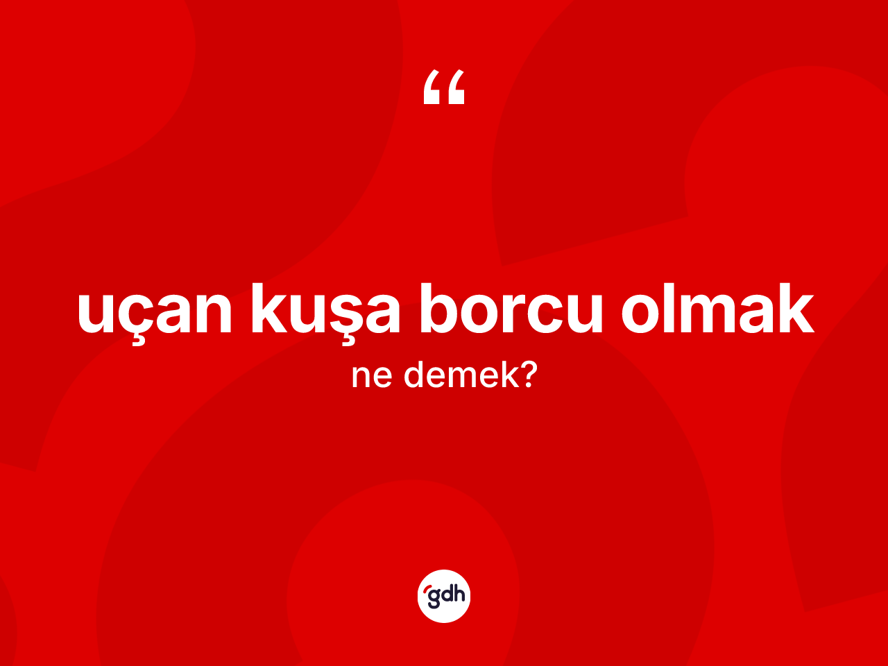 Uçan kuşa borcu olmak ifadesinin sözlükteki anlamı nedir? Uçan kuşa borcu olmak ifadesinin TDK açıklaması nedir?