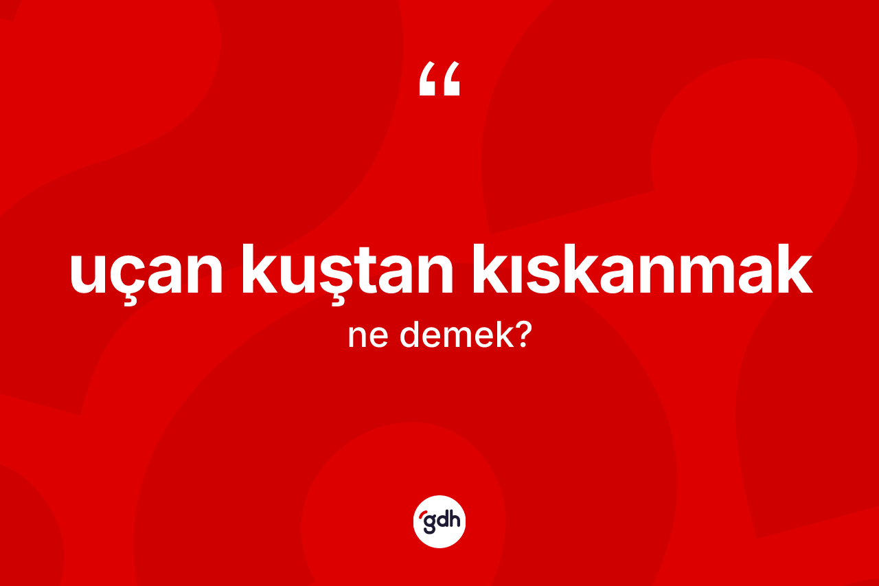 Uçan kuştan kıskanmak ifadesinin kısaca anlamı nedir? Uçan kuştan kıskanmak ifadesi nerede kullanılır?