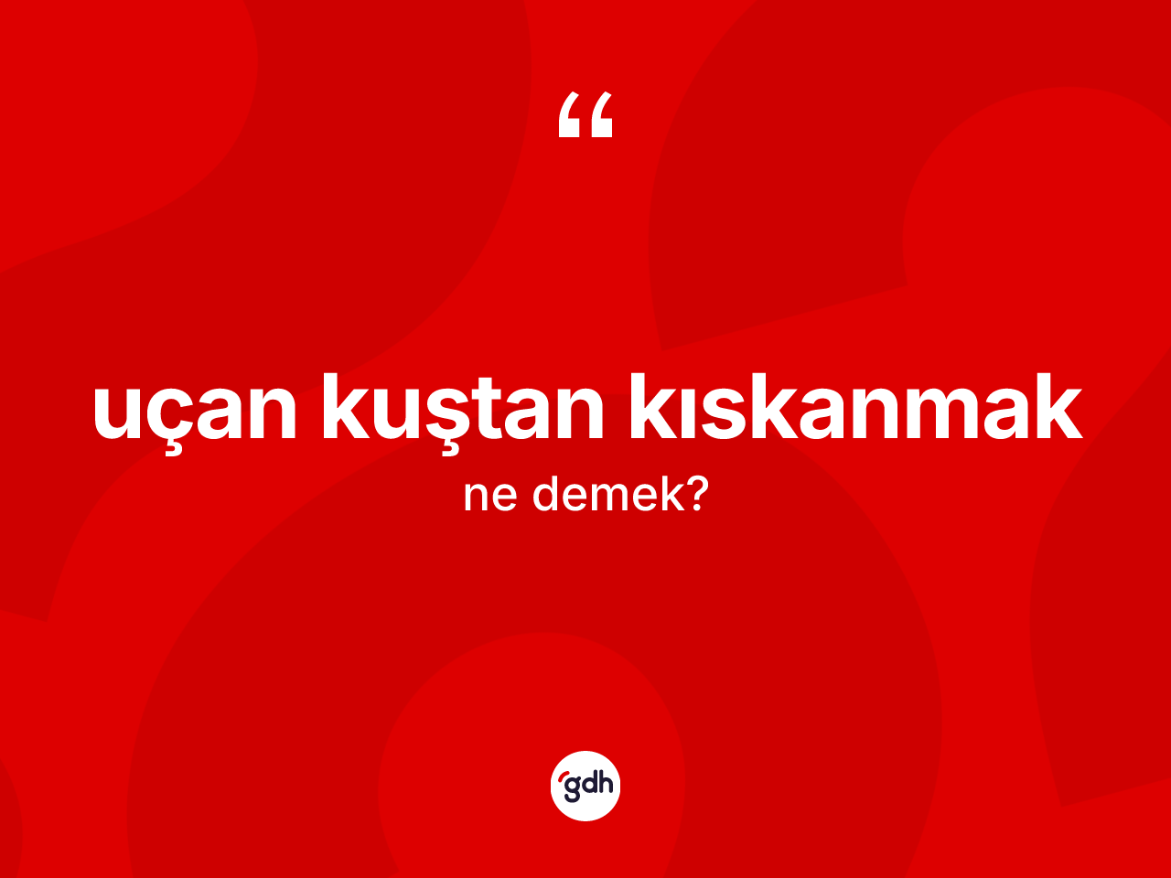 Uçan kuştan kıskanmak ifadesinin kısaca anlamı nedir? Uçan kuştan kıskanmak ifadesi nerede kullanılır?