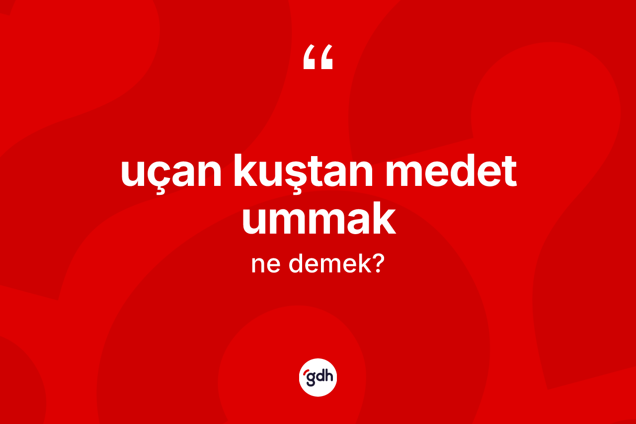Uçan kuştan medet ummak ne demektir? Uçan kuştan medet ummak ifadesi hangi durumlarda kullanılır?
