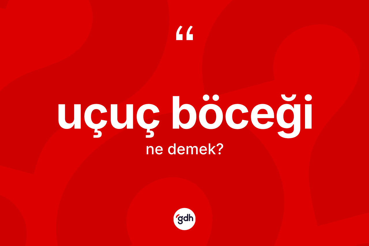 Uçuç böceği ne anlama gelir? Uçuç böceğinin TDK'ya göre anlamı nedir?