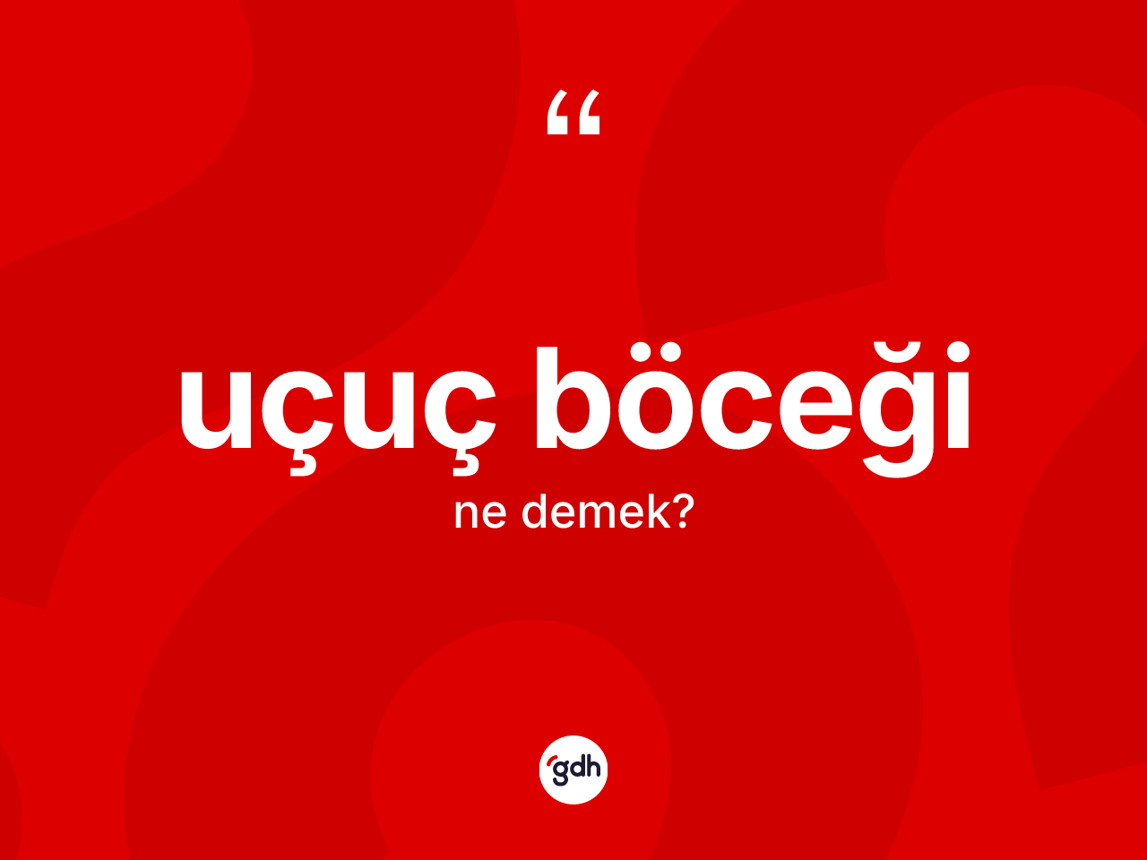 Uçuç böceği ne anlama gelir? Uçuç böceğinin TDK'ya göre anlamı nedir?