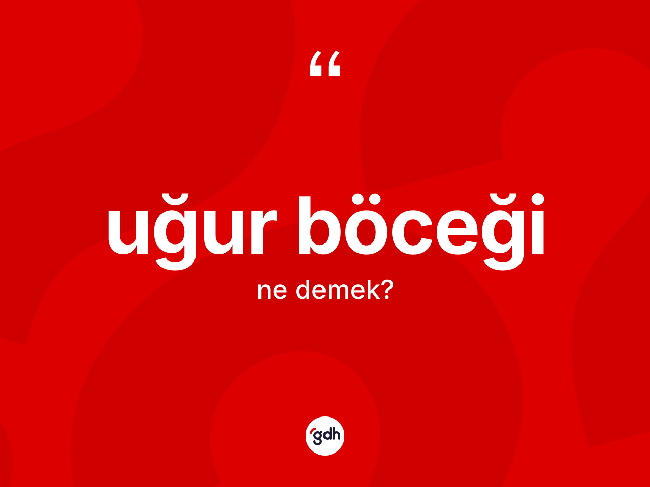 Uğur böceği kelimesinin tanımı nedir? Uğur böceğinin TDK'ya göre anlamı nedir?