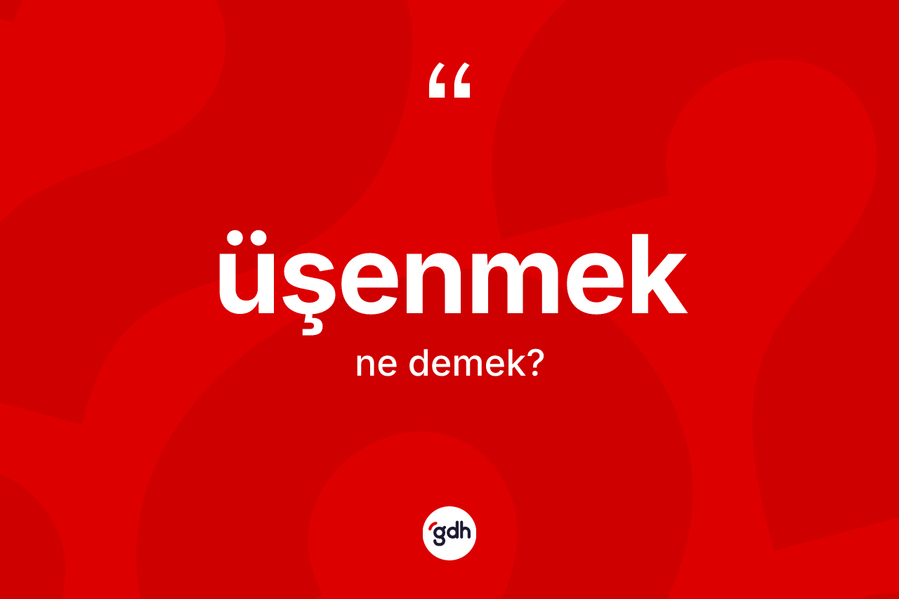 Üşenmek ne demek?