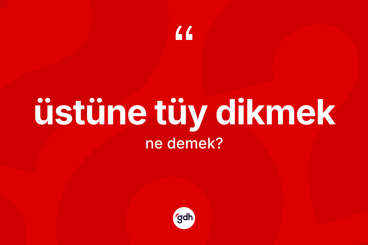 Üstüne tüy dikmek ifadesi ne demektir? Üstüne tüy dikmek sözünün TDK açıklaması nedir?