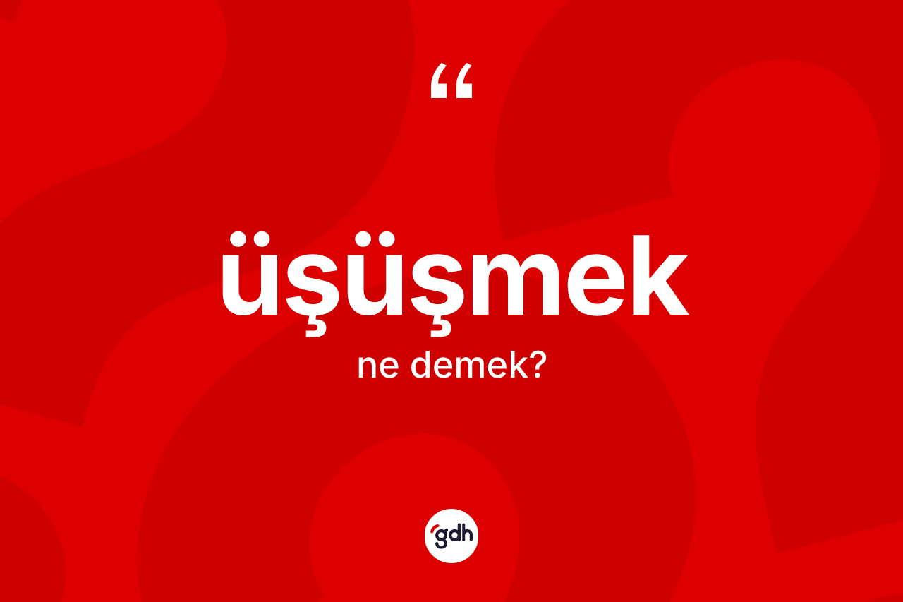 Üşüşmek kelimesinin tanımı nedir?