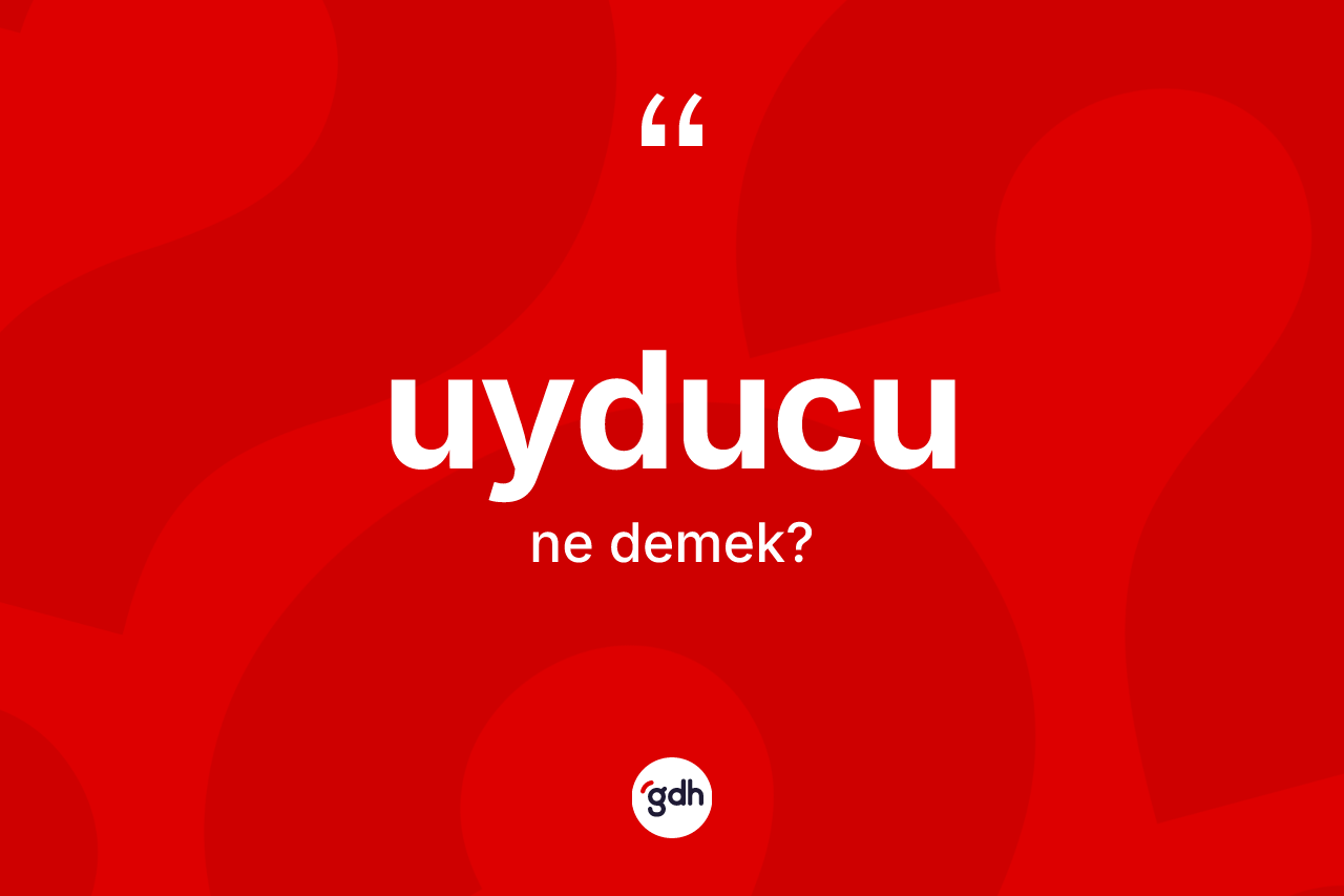 Uyducu kelimesi nedir? Uyducunun TDK'ya göre anlamı nedir?