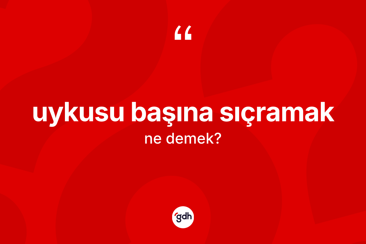 Uykusu başına sıçramak ifadesi ne demek?