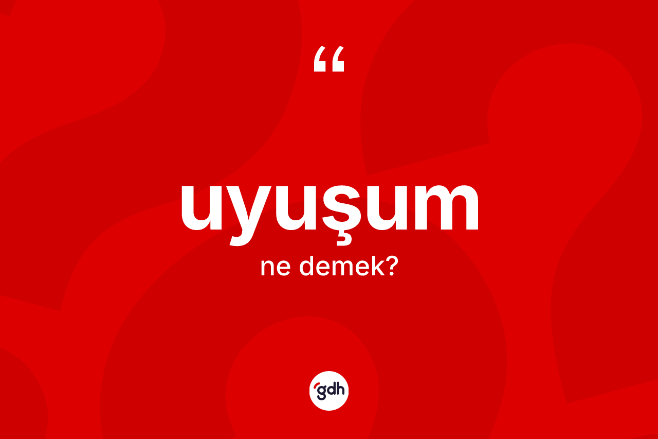 Uyuşum kelimesinin anlamı nedir?