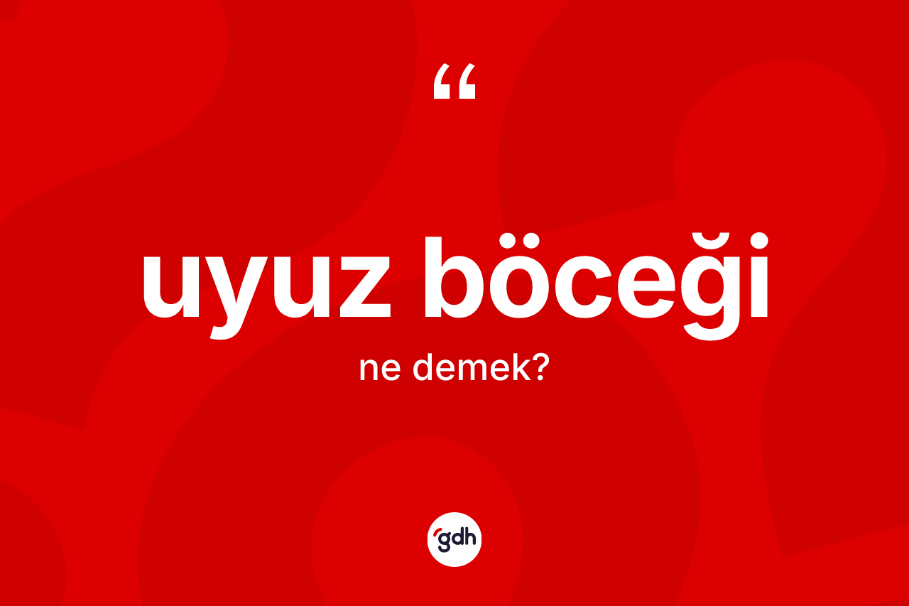 Uyuz böceği kelimesinin tanımı nedir?