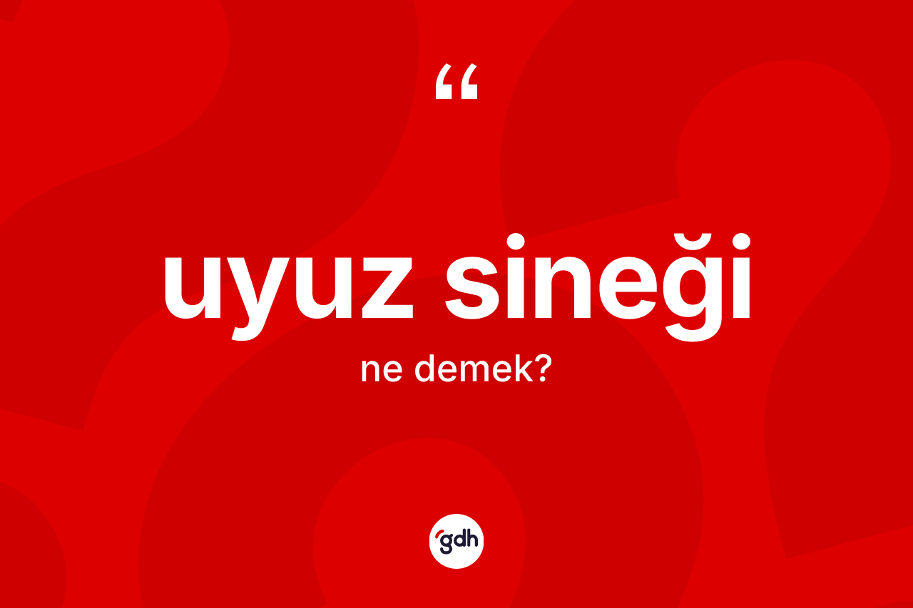 Uyuz sineği kelimesi ne demek?