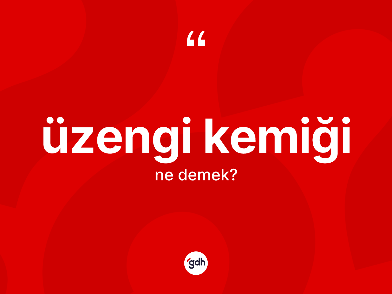Üzengi kemiği kelimesi ne demek? Üzengi kemiğinin TDK'ya göre anlamı nedir?