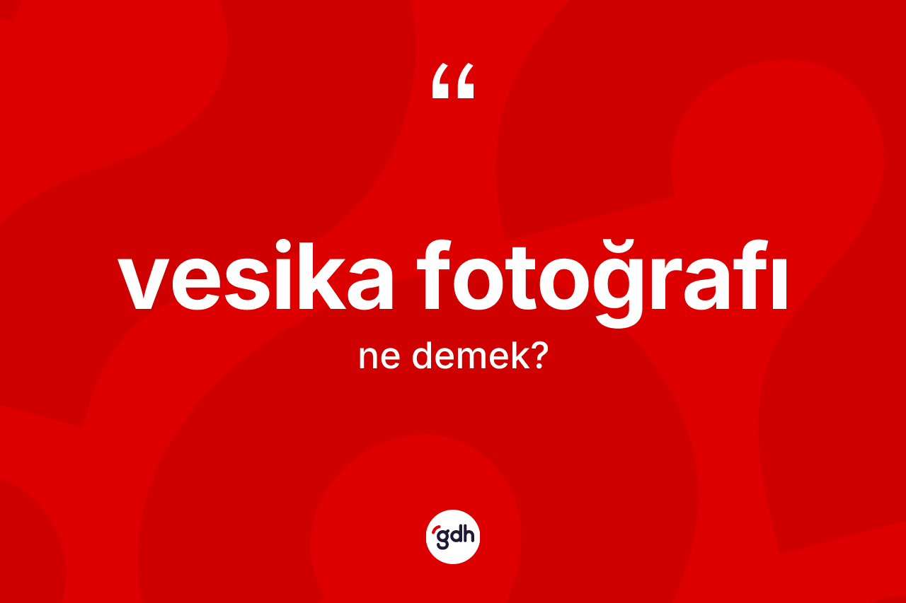 Vesika fotoğrafı kelimesi nedir?