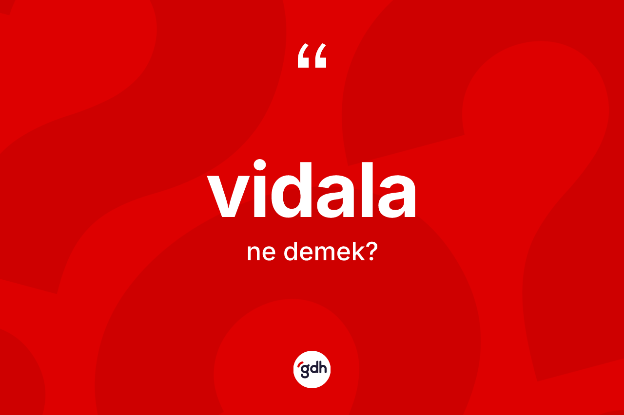 Vidala kelimesinin anlamı nedir?