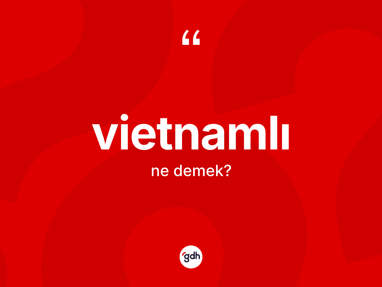 Vietnamlı ne demek? Vietnamlı'nın TDK'ya göre anlamı nedir?