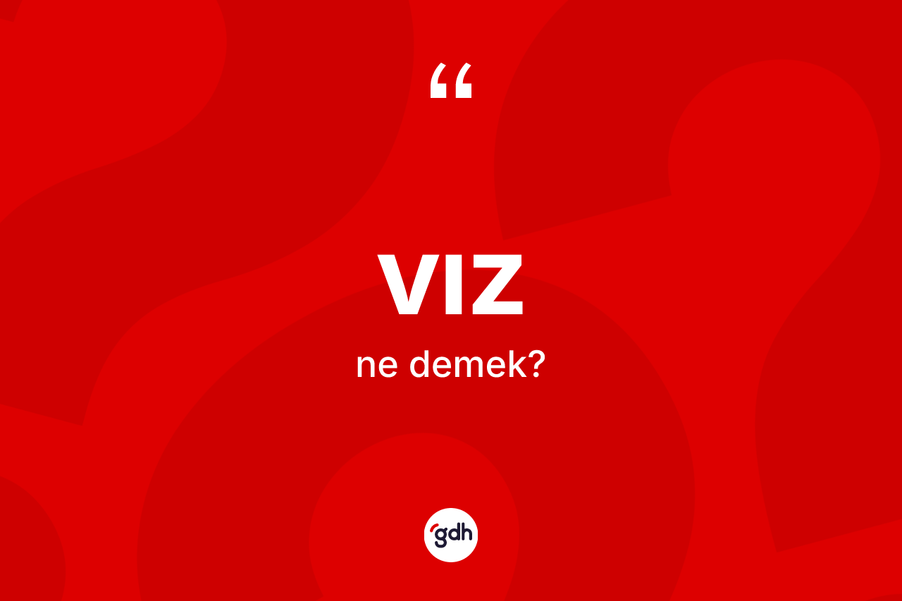 Vız ne demek?