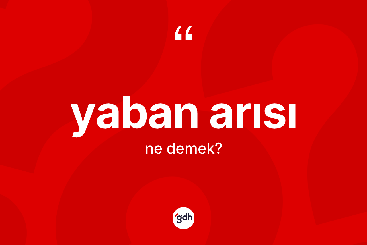 Yaban arısı kelimesinin anlamı nedir? Yaban arısının halk arasındaki kullanımı nasıldır?