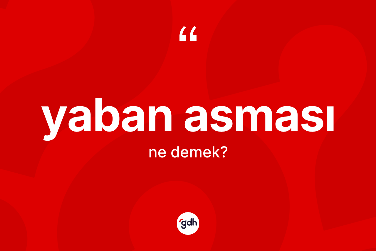 Yaban asması kelimesinin sözlükteki tanımı nedir?