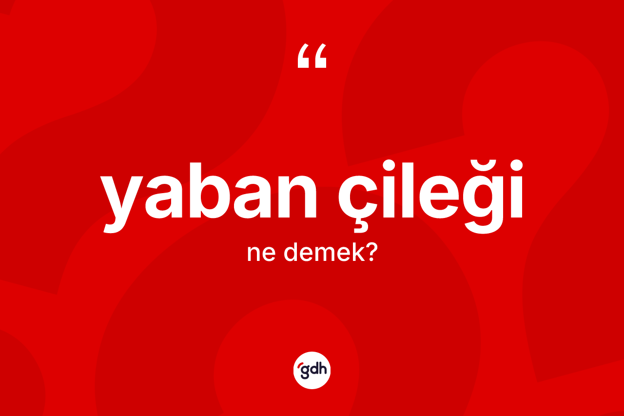 Yaban çileği kelimesinin tanımı nedir?