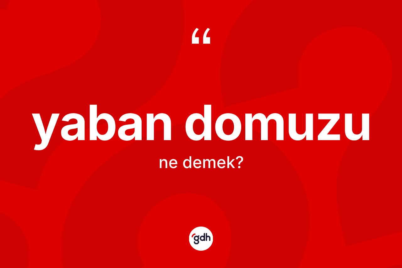 Yaban domuzu kelimesi ne demek?