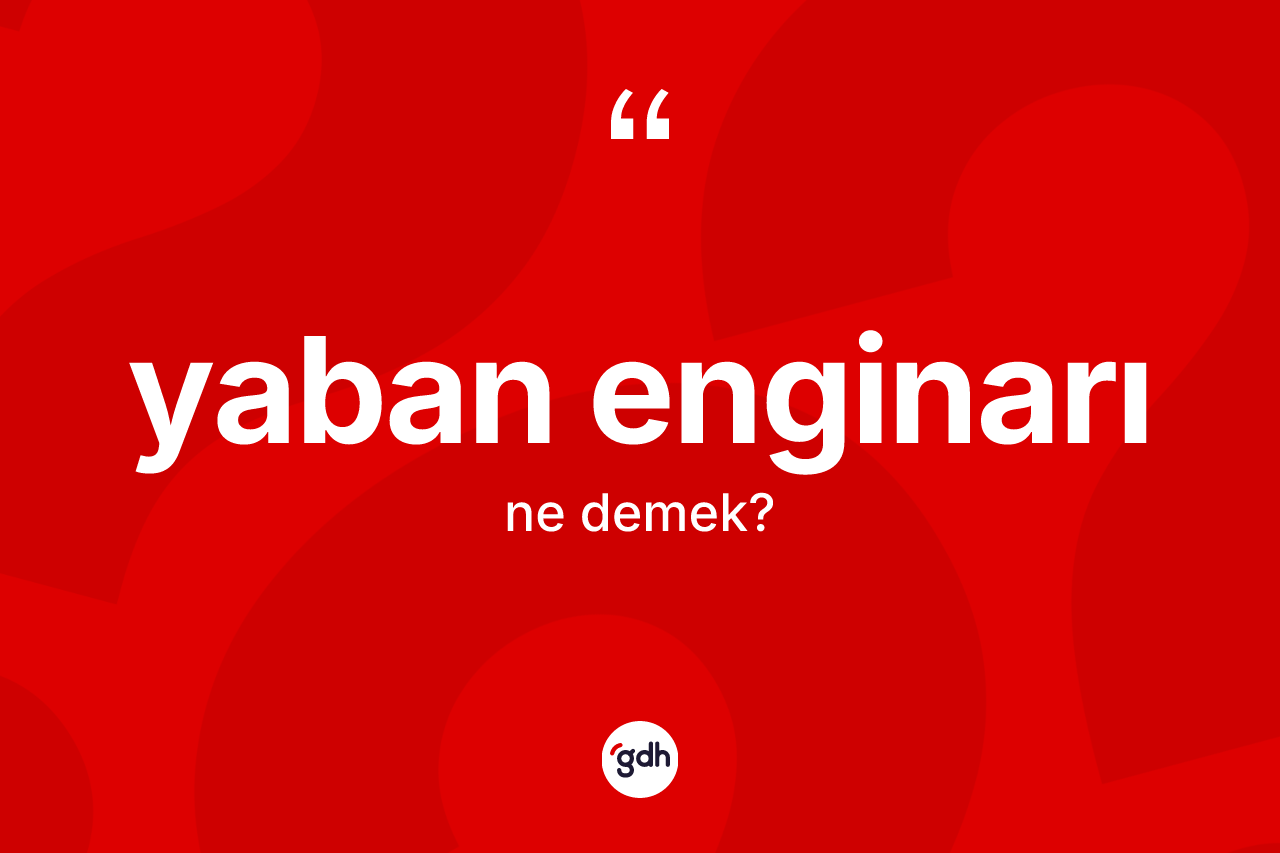 Yaban enginarı kelimesinin tanımı nedir?