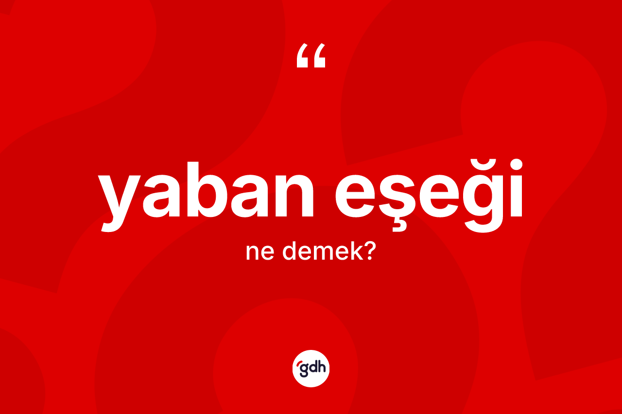 Yaban eşeği kelimesinin tanımı nedir?