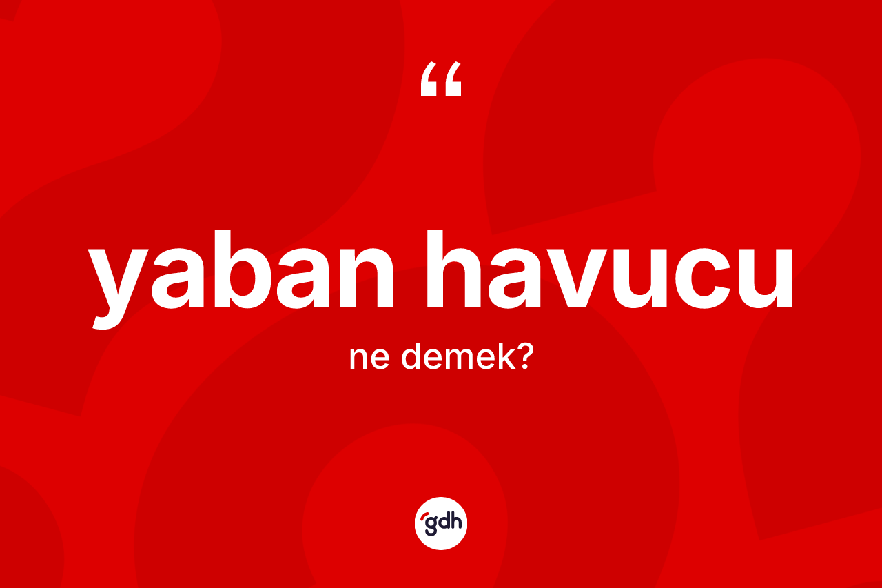 Yaban havucu kelimesi nedir?