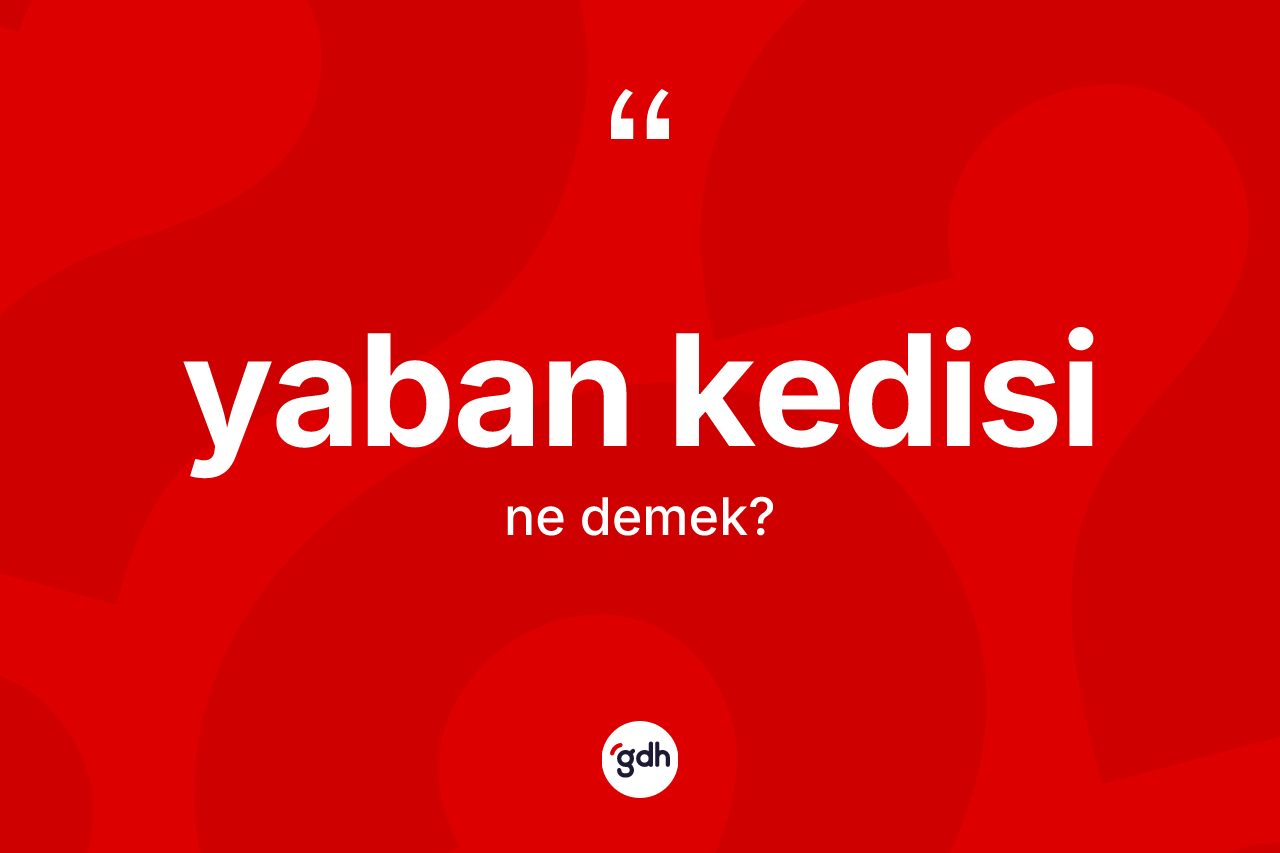 Yaban kedisi nedir?