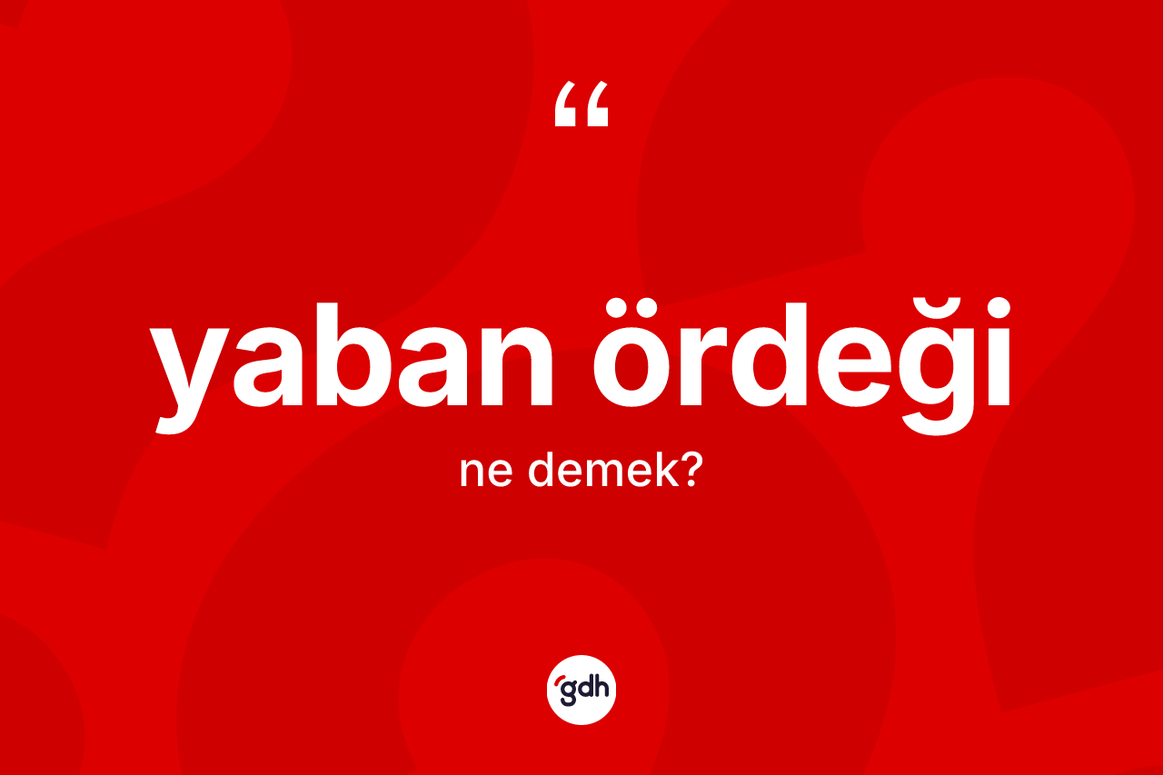 Yaban ördeği kelimesi ne anlama gelir?