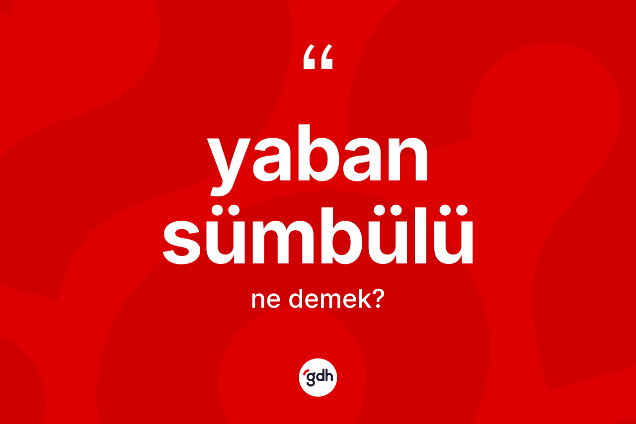 Yaban sümbülü kelimesi nedir?