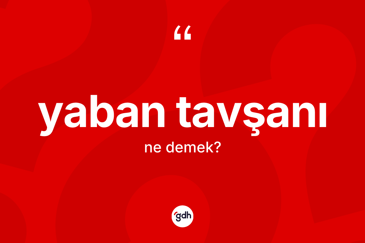 Yaban tavşanı kelimesi ne anlama gelir?